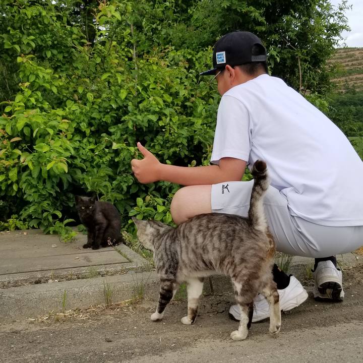 F4828329 94c3 483b bc7a 81ef0a5c3846 1624799118260