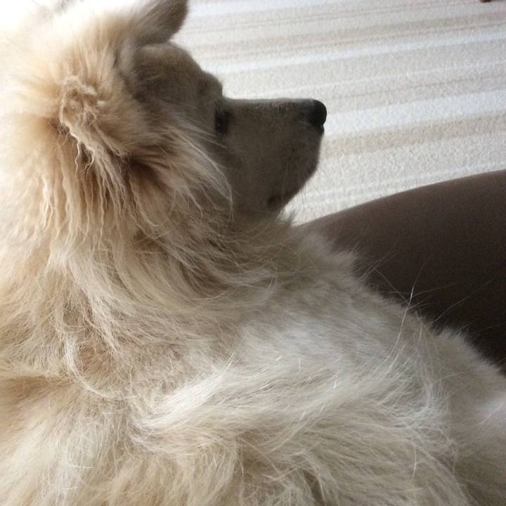 F4828723 e71b 4b84 8a40 16a963f2a86b 1508123531232