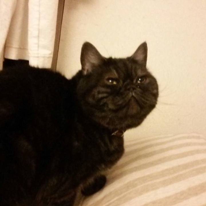 F4829d3f 3cc3 42a0 9613 e73898ca1936 1510136975666