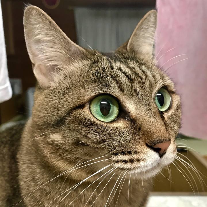 F482b8f5 397e 449c 8e84 200b7369655a 1521899026336