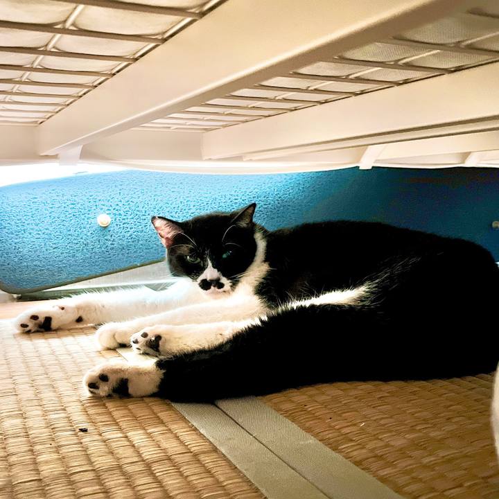 F482bda6 a14b 48d9 a33b 39a4dc407094 1659081826139