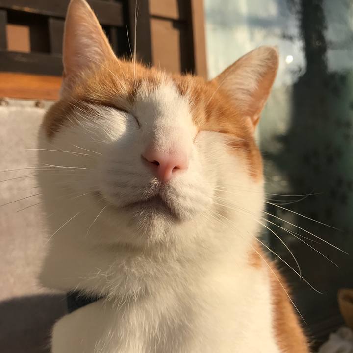 F482c6aa 393d 4ec0 aa85 6ed5bae2c4dd 1511914806965