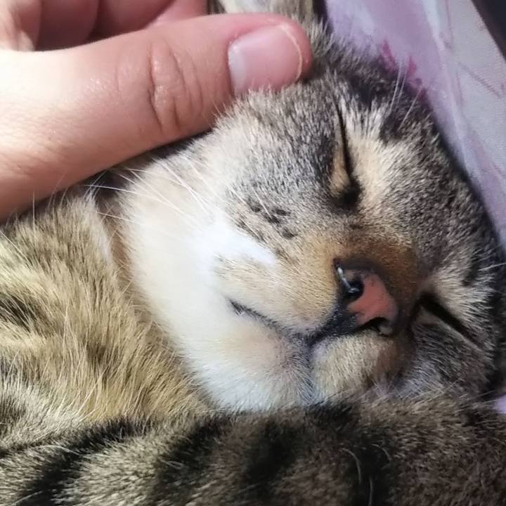 F482c9dc 9515 4576 8ba1 89546120ddb8 1616245976469