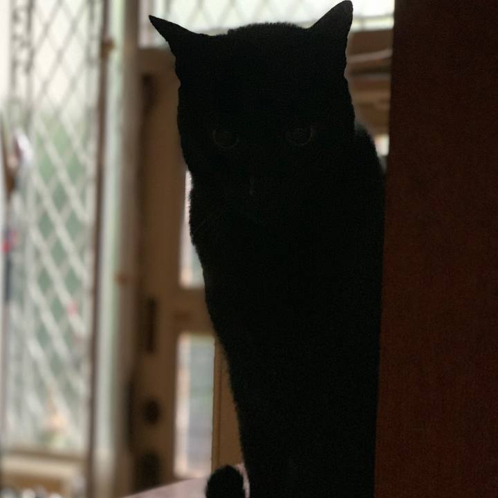 F482e7a0 a0cd 4709 9865 9f9efc29c99f 1602205934299