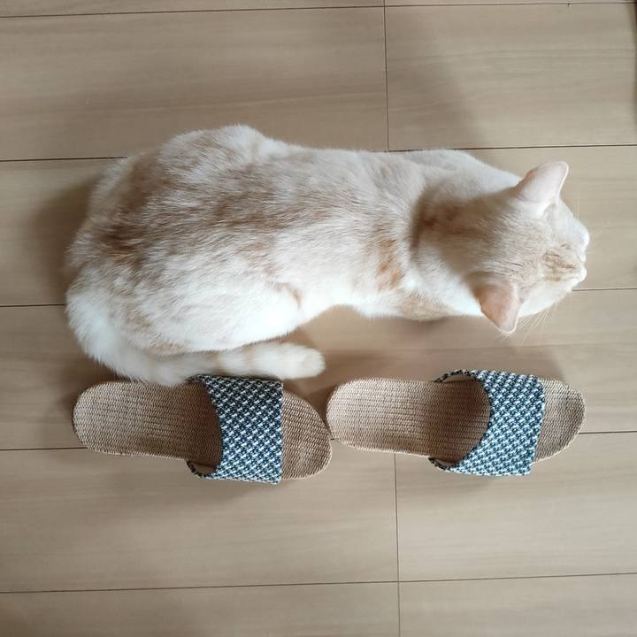 F482ec94 08c4 4a37 a64d 6fb3bb247141 1662505382982