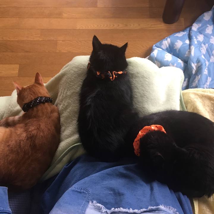 F4833a95 9734 4849 9b43 432baf976399 1538872696161