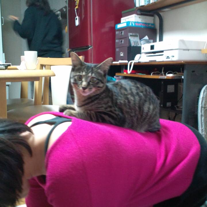 F4835b95 7dc4 4d66 b8f6 ebd9ee3d682f 1524878779148