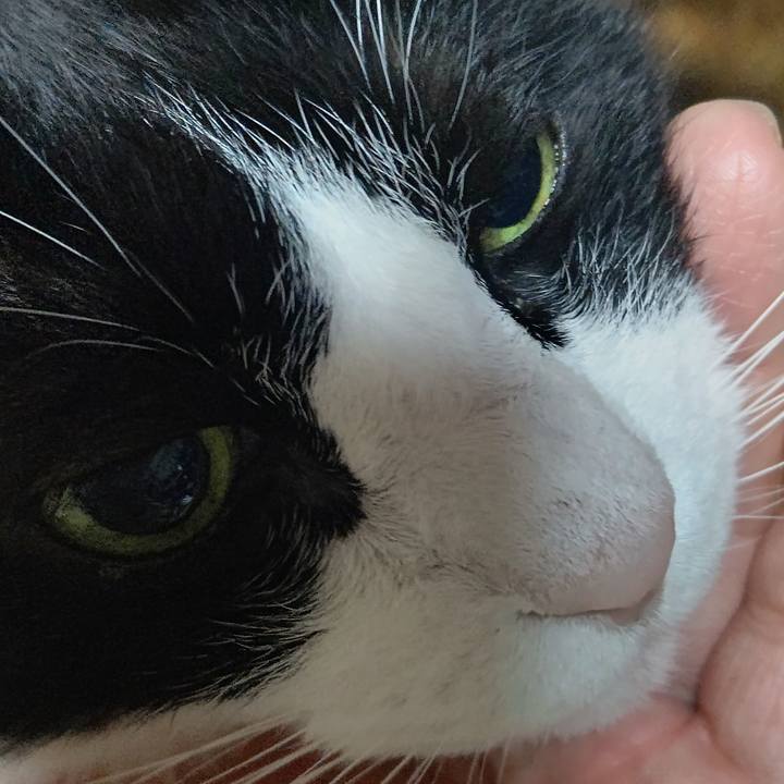 F48379fb e57a 4663 a4fa 07df3e1e5e66 1640209340468