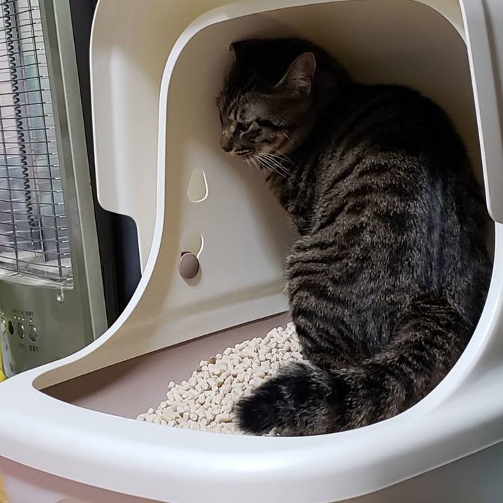 F483a058 b98b 49d1 aa8e 5713d2d8e217 1548063658713