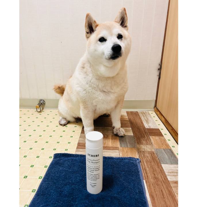 F483aa98 e120 4799 91f5 d425939193db 1739866153943