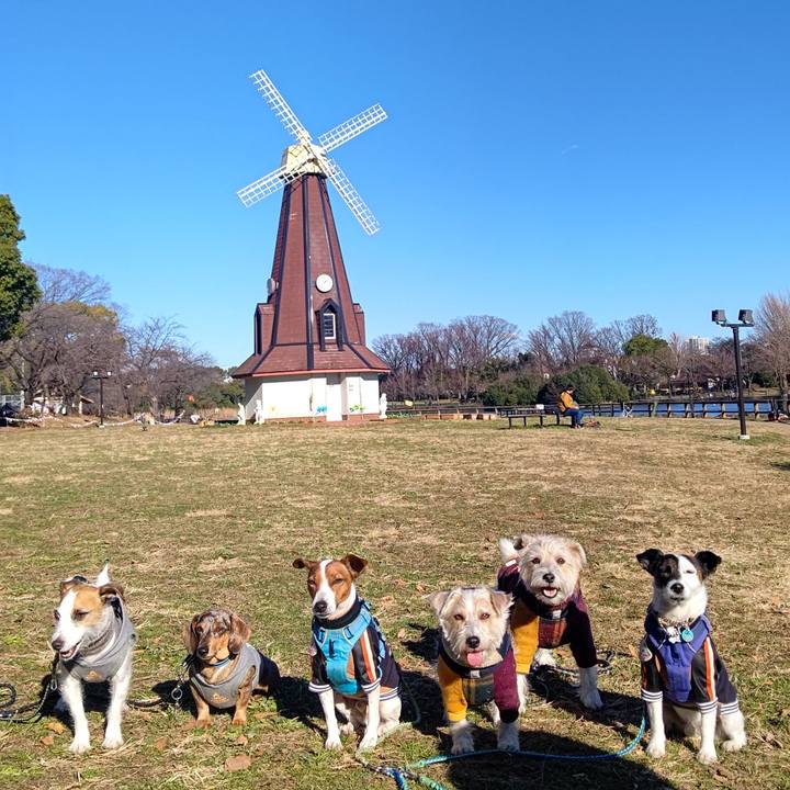 F483bbb6 3aa0 4112 9db6 369abef1a76e 1671952356037