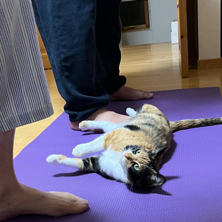 F483c875 fbcd 470e a702 33518a31a6b9 1665063260837