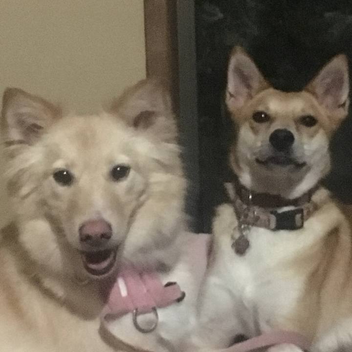 F483f3db 7904 4ffb b327 1d4609dd2af6 1530279603932