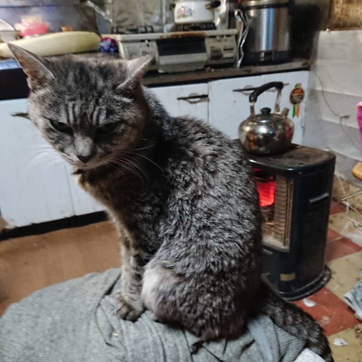 F4841654 907c 4292 b0ef 1bb49bc34bd0 1576791598786