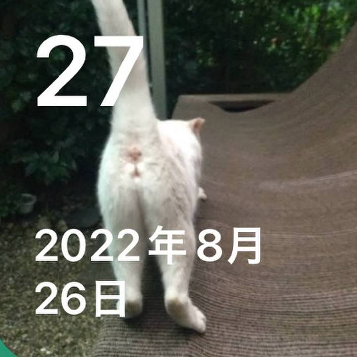F4842269 7f73 4e3e 98a4 3ceab04511f9 1756295501986