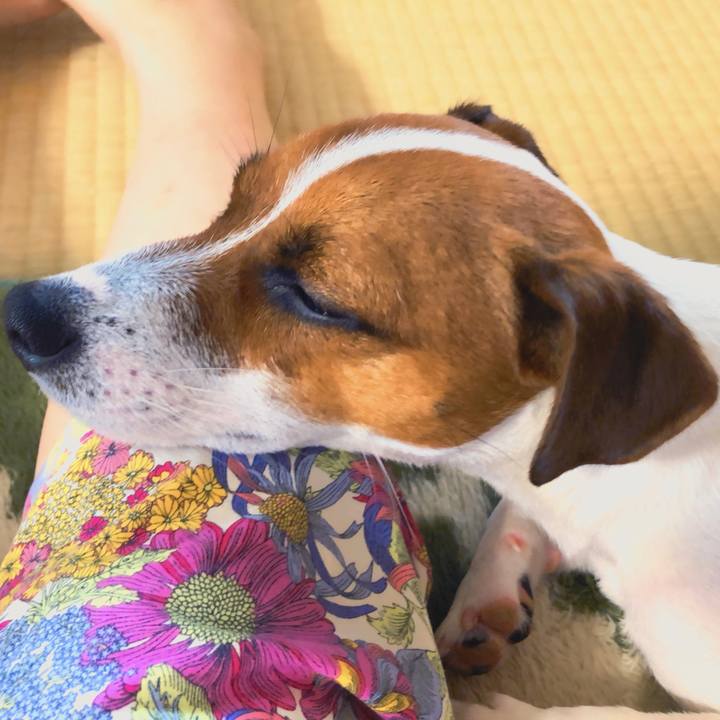 F484390e 2d6c 42cf b598 2be5b3265ffb 1531697325173