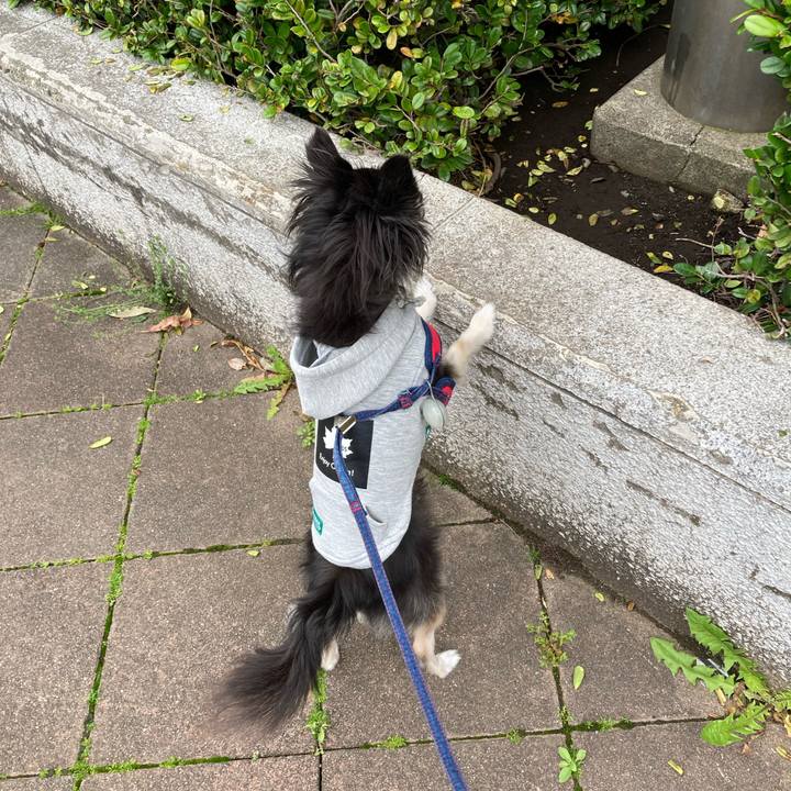 F4845955 c614 4499 93bf aeaee05a75e2 1712400653345