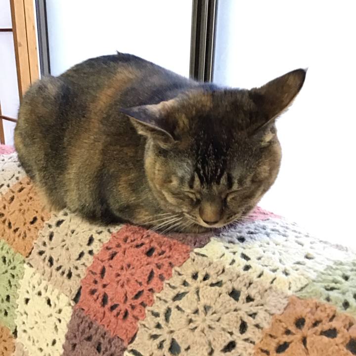 F4847474 c344 4956 b00c 12de7fcdc066 1704528612235