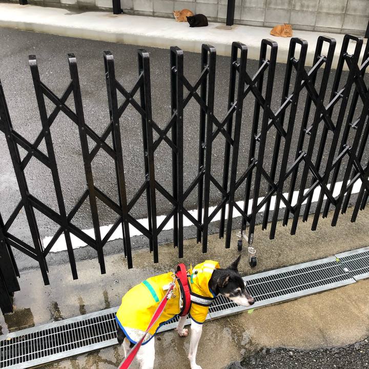 F484b688 7c32 4a4f 87e8 a718bb122d3c 1566944443177