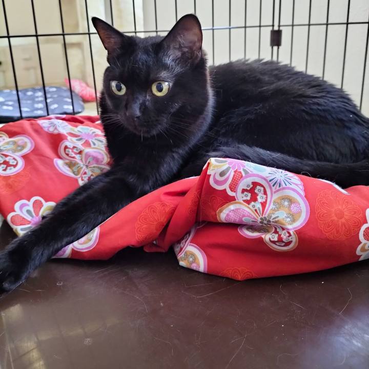 F484c066 b294 4cd7 be64 0d12df973d04 1690324239424