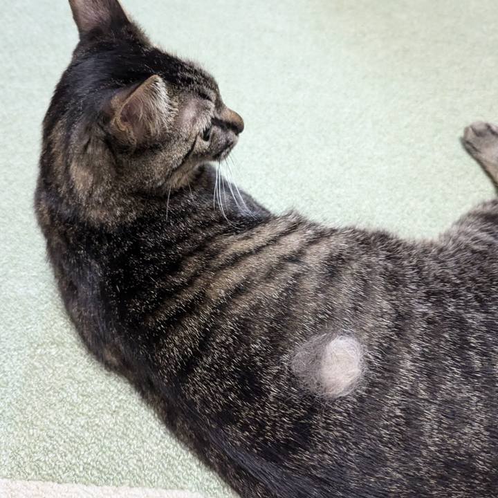 F484ee4f d6d7 4cda 9d9e 5b0fdc0197ed 1729295890686