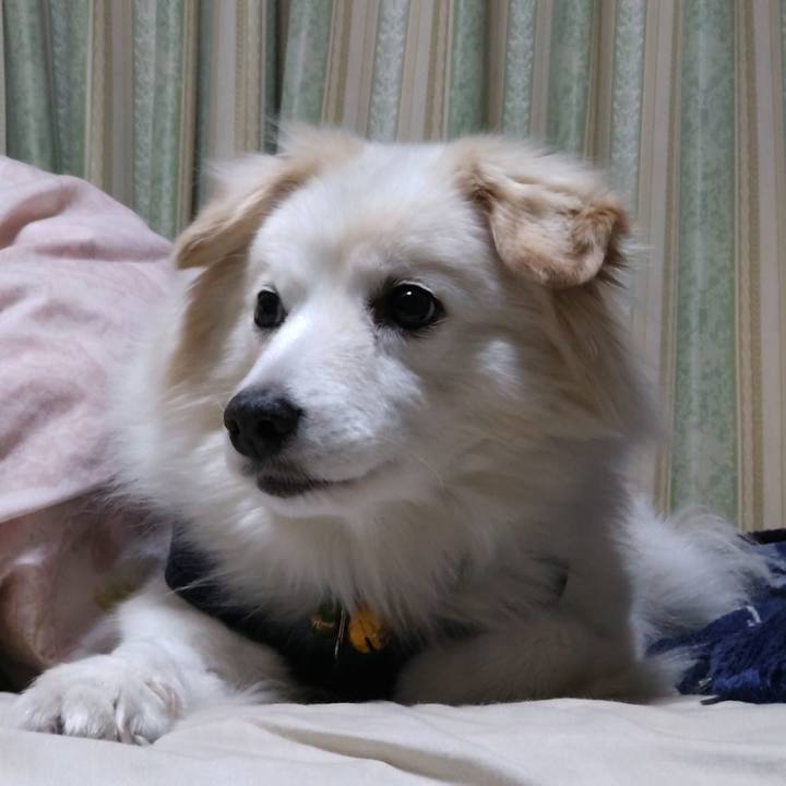 F484f496 81cf 4327 8fca 384074a1b2ee 1644935274721