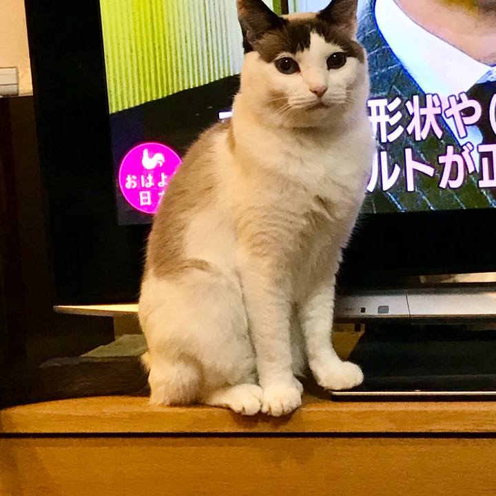 F4854350 1011 4e7e 89cc 2bfaf8d0c984 1579744405874