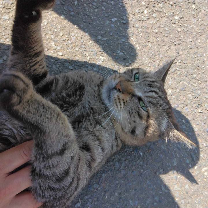 F4854b76 9357 488b bc02 7e0707e04e1d 1718097053496