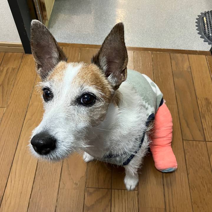 F4854f4e 4631 4441 805d cf79a5d895e8 1715123959506