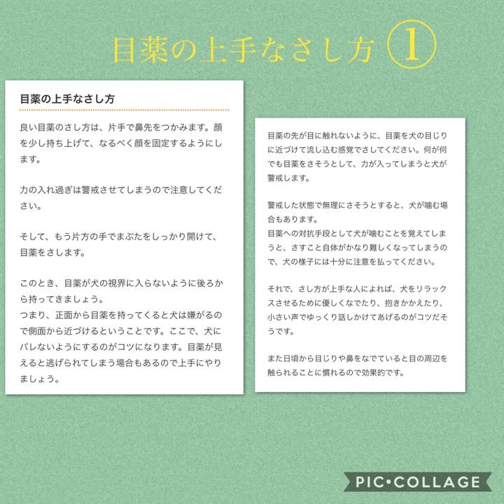 F4855338 3f6d 4d2e a37a 3ea58602618c 1531150147198