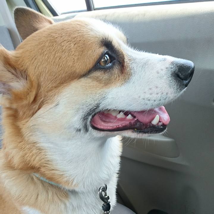 F4856e2d b432 481c 864f b0e85e9d7d86 1595124984935