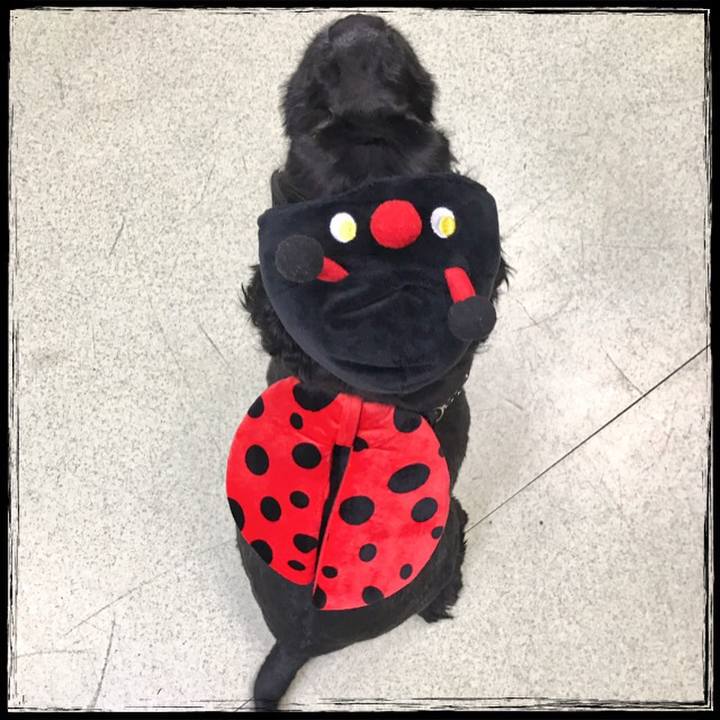 F4857287 9312 4114 b0b9 e291dc9fcd6e 1540954409870