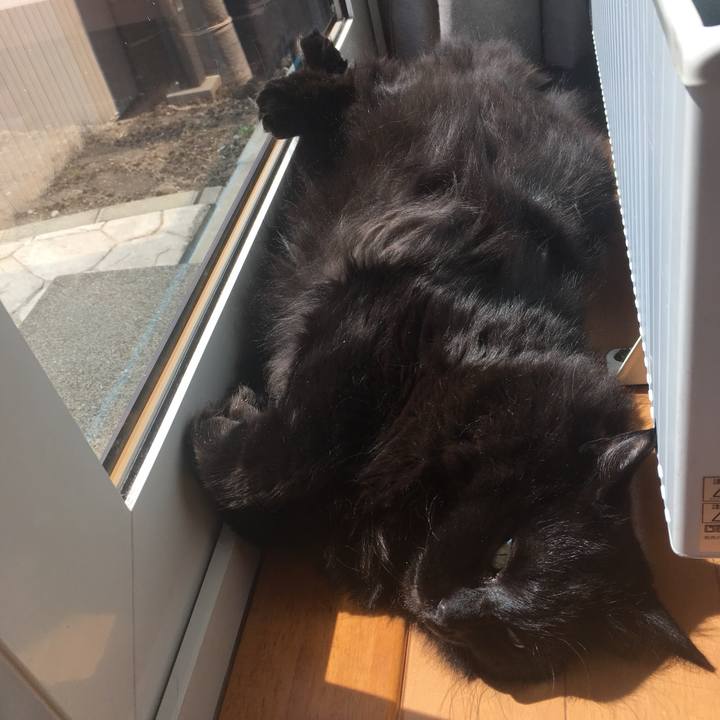 F4859942 a3dc 422f 8aad 8d75812fe591 1557573466989