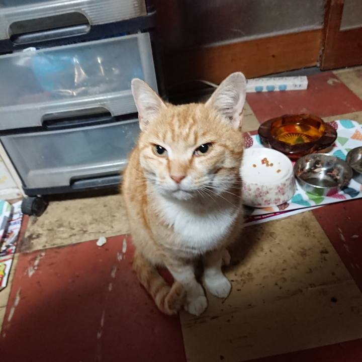 F485bce3 cd63 427c b95b cd1d23102f21 1586725797950