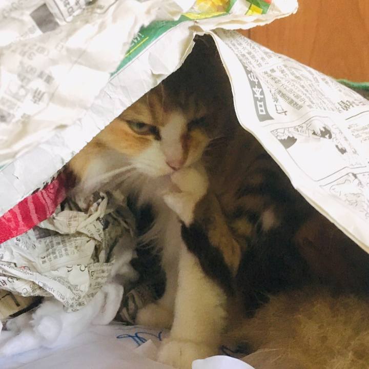 F485cac2 9cbd 457c 81a3 b38882be9bfb 1558739081567