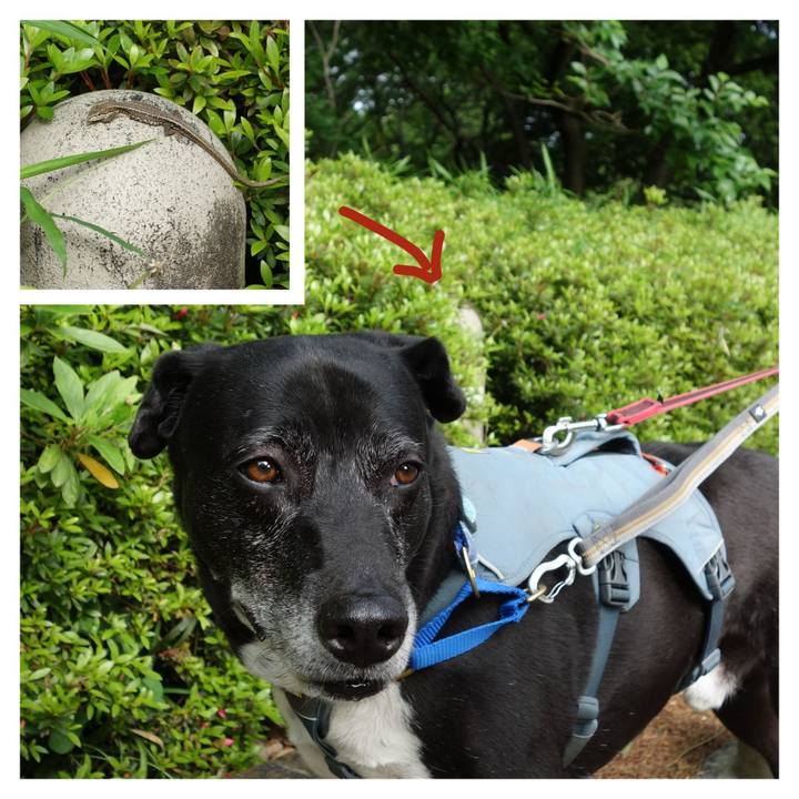 F486033e ba7f 49ed 99cd fc7cc03d7f0b 1746664653395