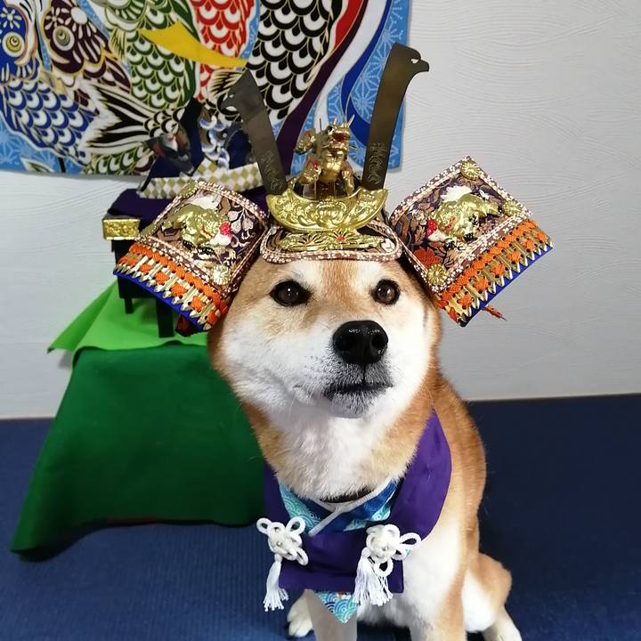 F486481b cd6e 4732 8c82 bafeea9de688 1682829512646