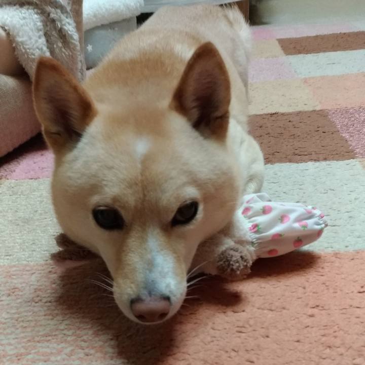 F48651dc 4424 482a 80b8 651e79e7e9fb 1579174255500