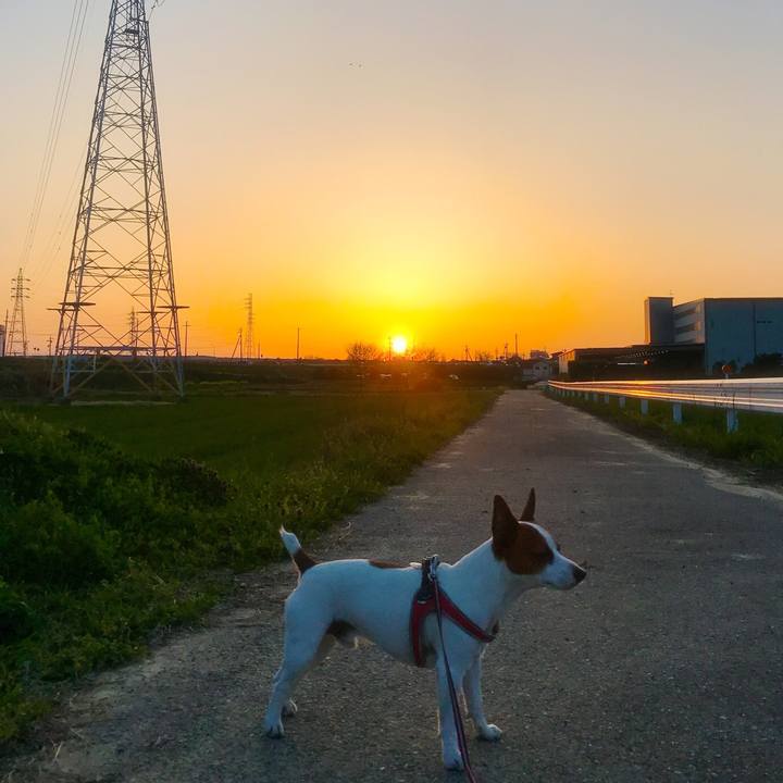 F48675fc 644d 412c b2c2 c86c01d67073 1522408744802