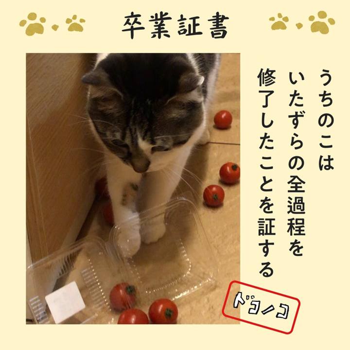 F486787c 35f9 4092 9708 9966e5afd798 1771887313448