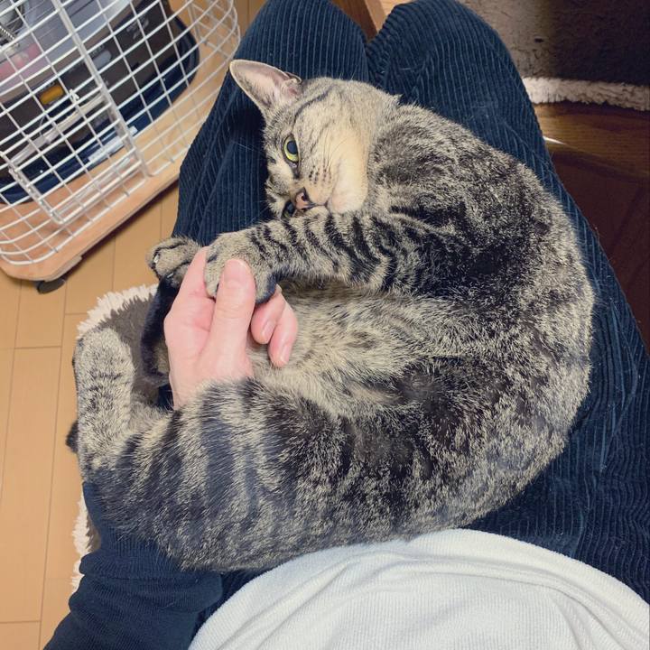 F4867a34 07d6 48d0 a9c2 39cb0616abf0 1547556845276