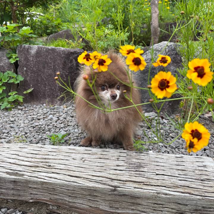 F4867d0b 1bc0 40f6 8fa8 efefa5151250 1752186121734