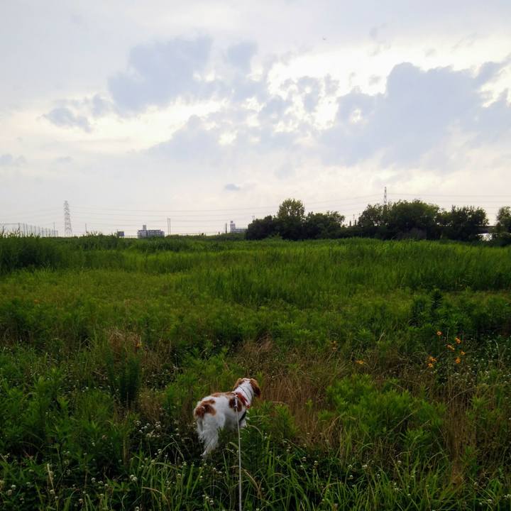 F4868df0 4d58 423c b7fc f8d1c78b8268 1530099989174