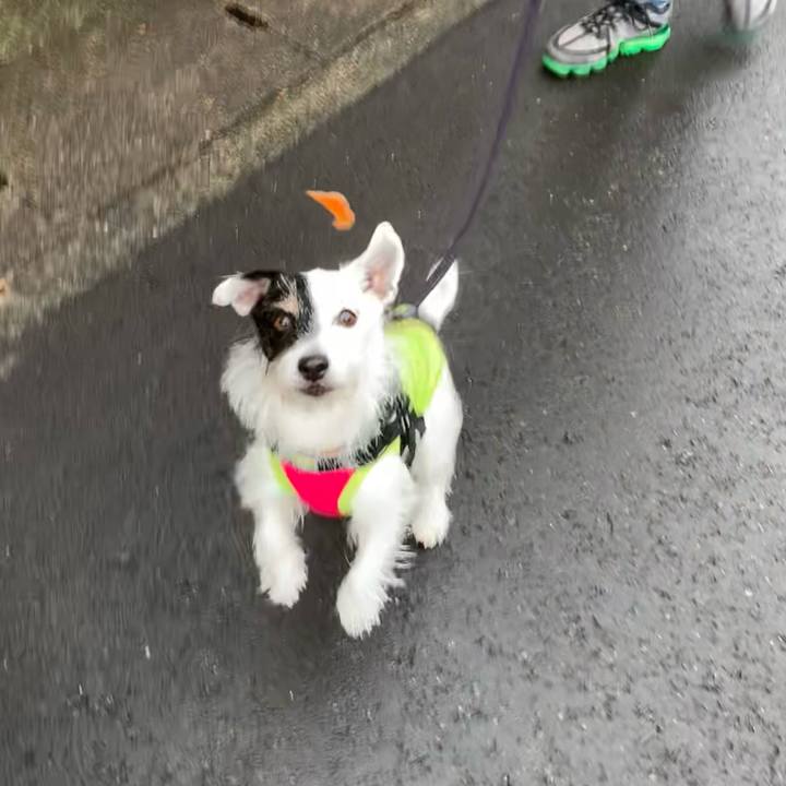 F486d227 37cc 4a7b 8ab2 e47973676699 1731628963984