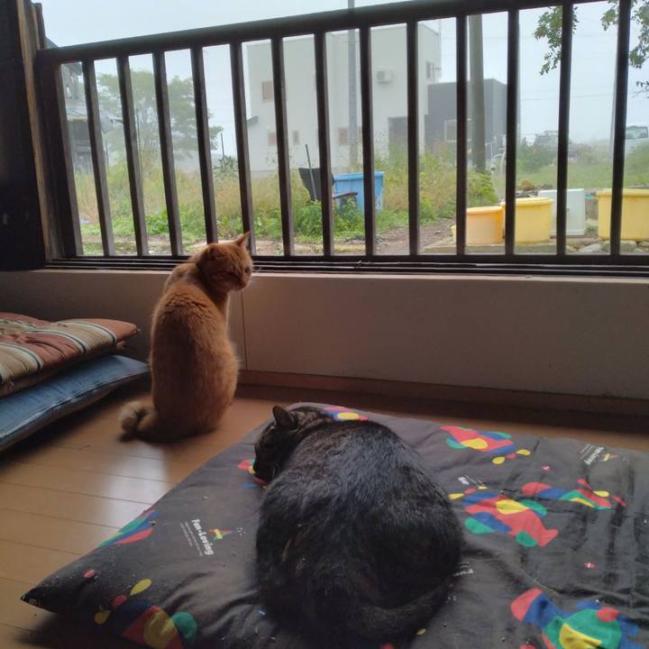 F486dc80 01b1 4281 a7ca 354389ea5723 1664490214808