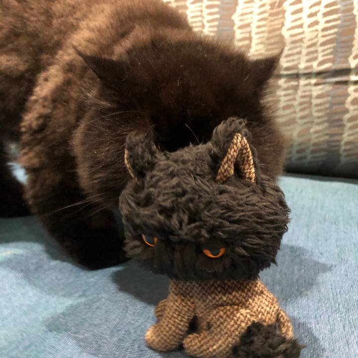 F486f35b 23dd 4d7f a6d1 0d7f1d6e1dc3 1627386217512