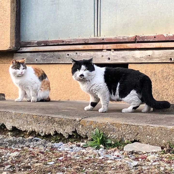 F487109f 18af 4f92 b0af 24bee15520cb 1518725760655