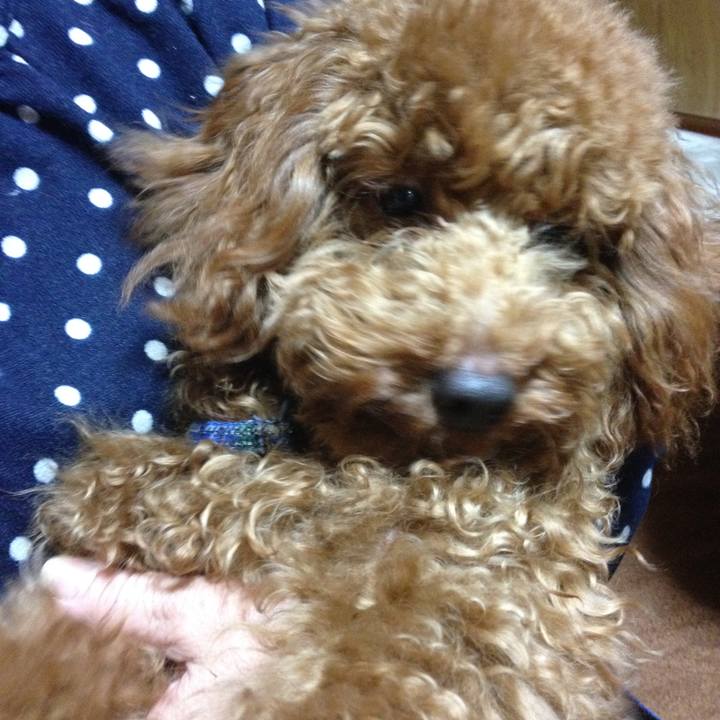 F487209b 0812 4054 9227 9b141fb56766 1522210313391