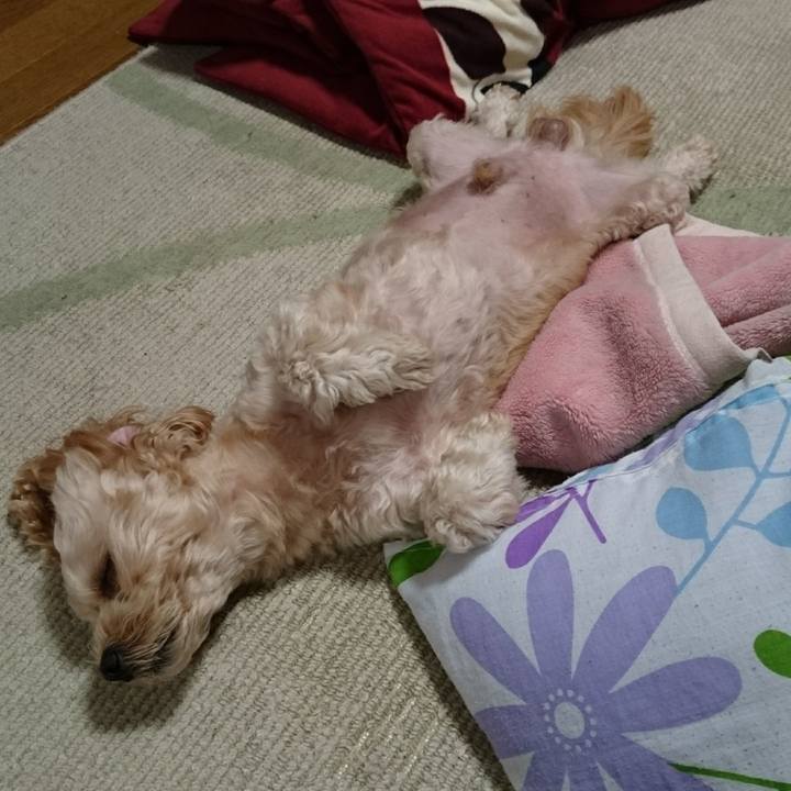 F4873a08 512f 4534 8b57 1213c7814fb7 1541513368020