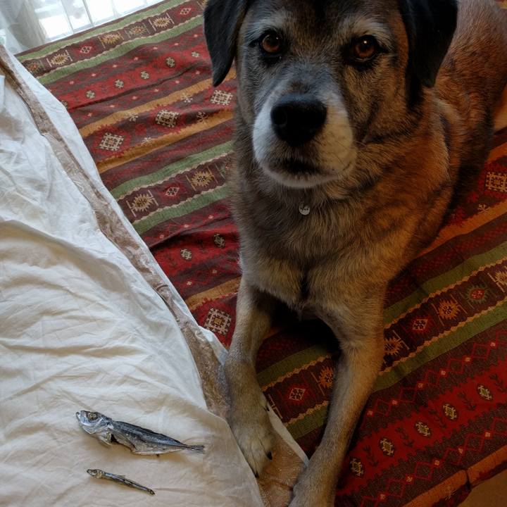 F4877e00 401a 44db 8fde 9bcdbee10a46 1509414608527